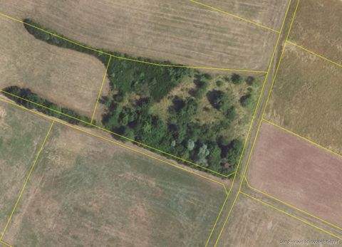 Rattelsdorf Bauernhöfe, Landwirtschaft, Rattelsdorf Forstwirtschaft