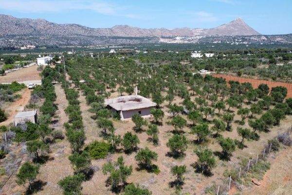 Kreta, Mouzouras: Flaches Grundstück mit Panoramablick zu verkaufen