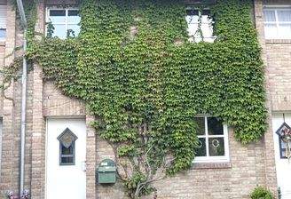 Ihr neues Zuhause
