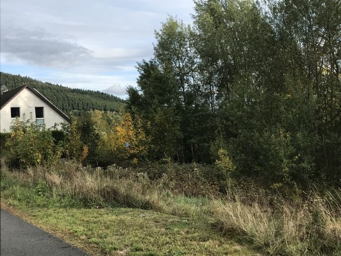 Feines kleines Grundstück mit Südausrichtung im Edertal in Bad Berleburg - Schwarzenau