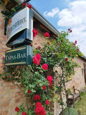 Außenansicht / Rosenstrauch