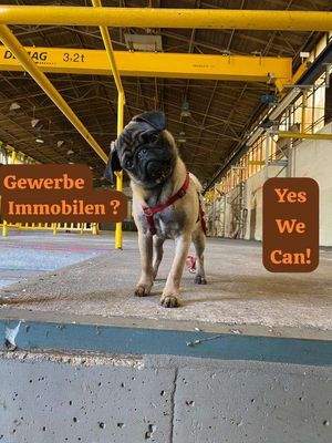 Gewerbe Immobilie YES WE CAN
