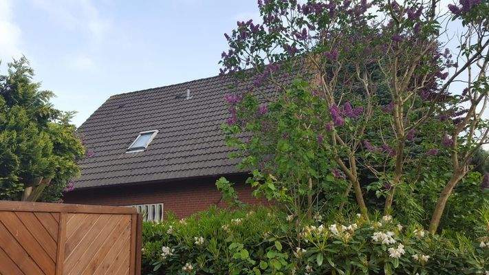 92770478-3213-41e5-af12-3355ff1be518