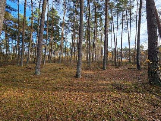 6_581976434_2252061805306235_2670408906217207620_n