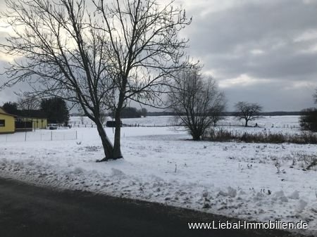 Großes Grundstück in Südlage, Feldberger Seenlandschaft !!!