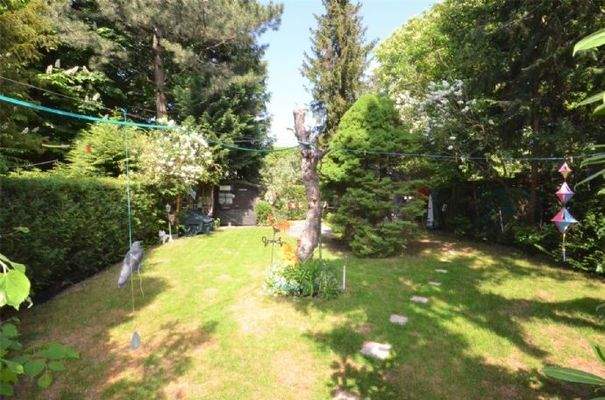 Gemeinschaftsgarten 1