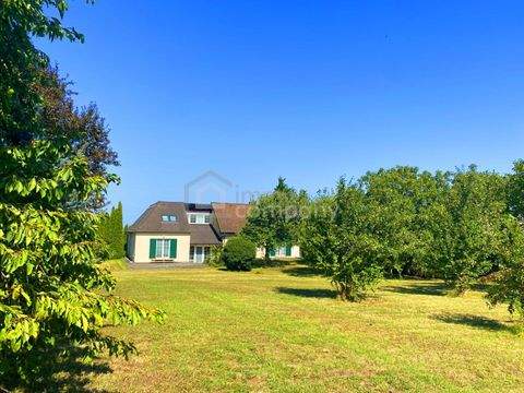 Breitenbrunn am Neusiedler See Häuser, Breitenbrunn am Neusiedler See Haus kaufen