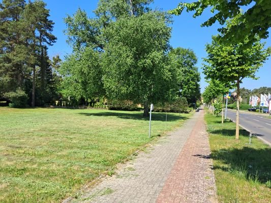Torgelow Straßenverlauf.jpg