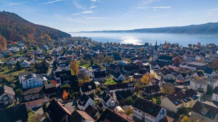 DJI_20251104113635_0542_D