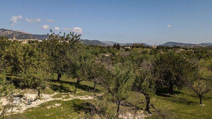 grundstueck-selva-25