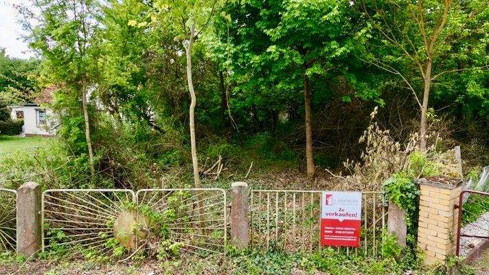 Grundstück von vorn