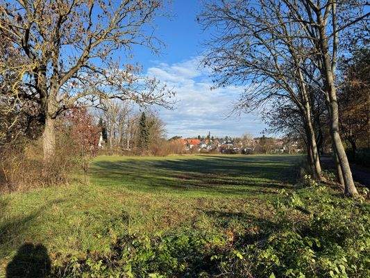 Blick in den Farrnbachgrund