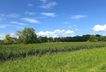 Blick auf die Ilmenauwiesen