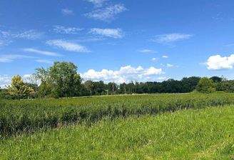 Blick auf die Ilmenauwiesen