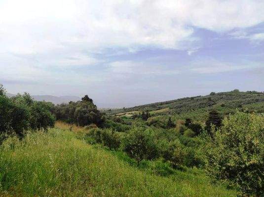 Kreta, Kastellos: Grundstück mit Meerblick zu verkaufen