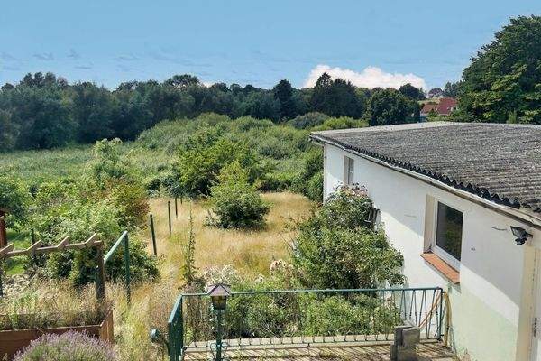 Blick in den großen Garten