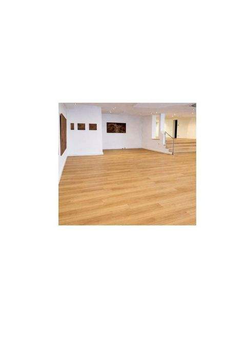 Usingen Ladenlokale, Ladenflächen 