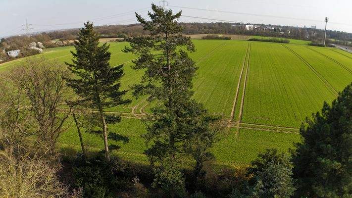 Drohnenaufnahme von oben