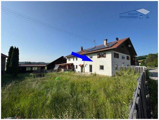 Zaun wird noch erstellt