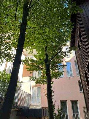 20220623_071826718_i