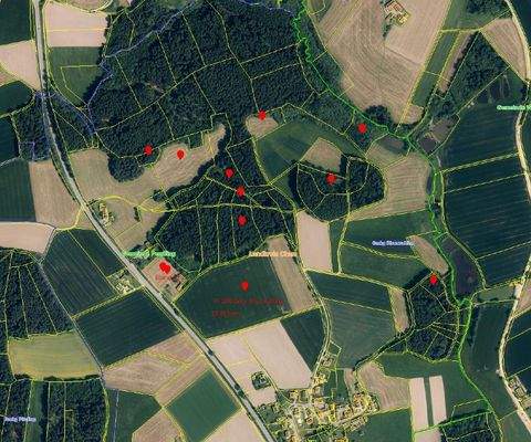 Pemfling Bauernhöfe, Landwirtschaft, Pemfling Forstwirtschaft