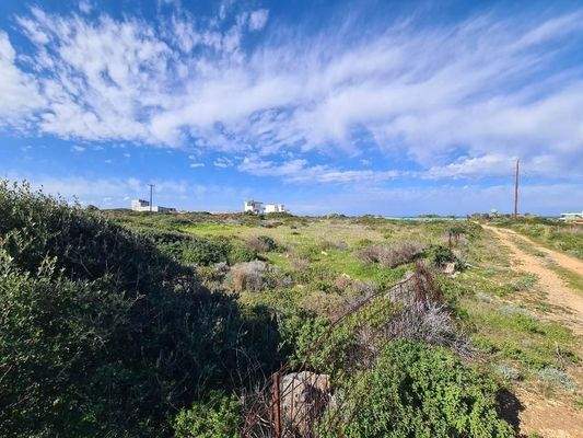 Kreta, Stavros: Riesiges Grundstück in Strandnähe zu verkaufen