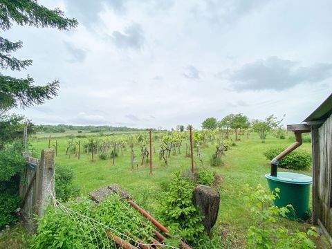 Wien Häuser, Wien Haus kaufen