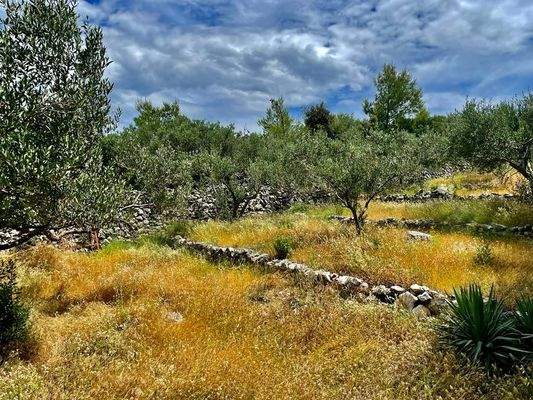Umgebung mit Meerblick 