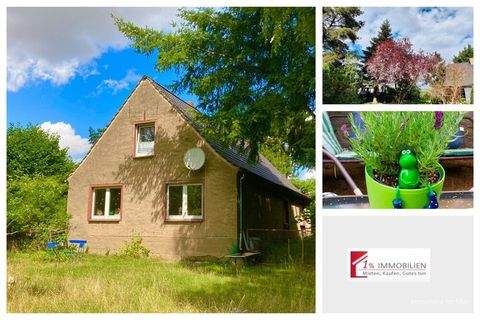 Gribow Häuser, Gribow Haus kaufen