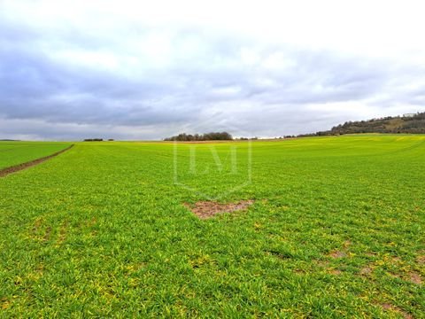 Marburg Bauernhöfe, Landwirtschaft, Marburg Forstwirtschaft