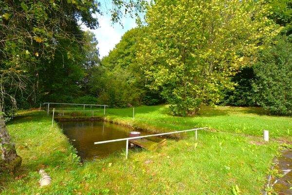 Muerlenbach 26-5.JPG