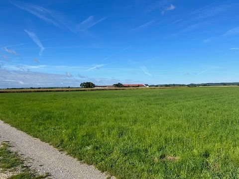 Kettershausen Bauernhöfe, Landwirtschaft, Kettershausen Forstwirtschaft