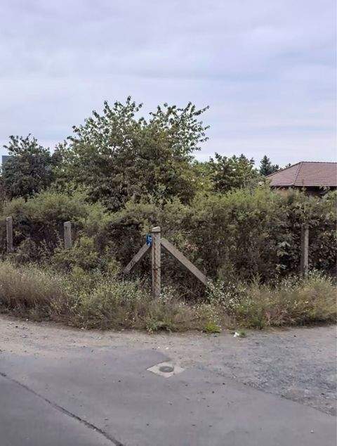 Forst (Lausitz) Grundstücke, Forst (Lausitz) Grundstück kaufen