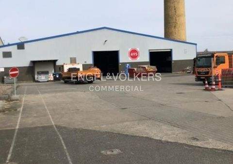 Oranienburg Halle, Oranienburg Hallenfläche