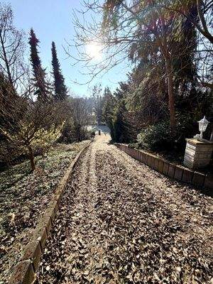 Außenbereich Auffahrt