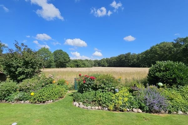 Traumblick vom hinteren Garten