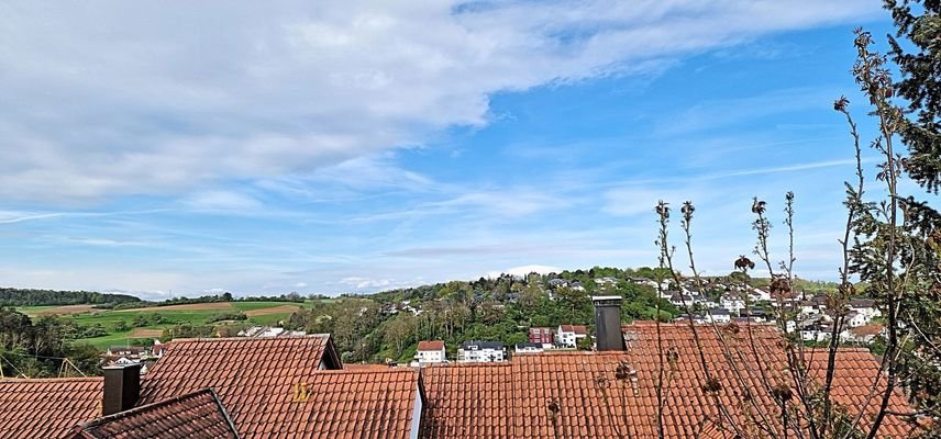 Ausblick Südwest