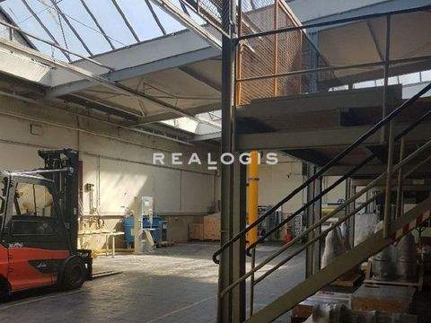 Mannheim Halle, Mannheim Hallenfläche