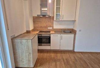 gepflegte Einbauküche