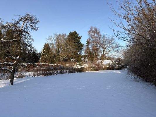 traumhaftes Grundstück 