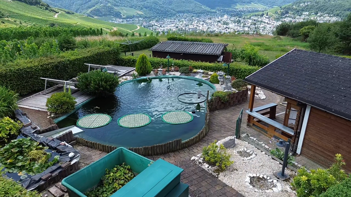 Gartenhaus inkl. Teich