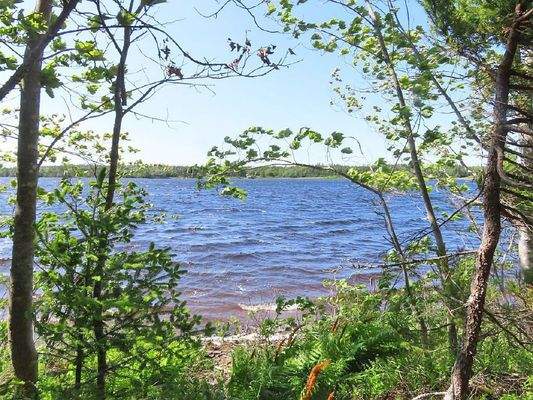 Cape Breton - Wunderschönes 11-Hektar-Areal mit 23