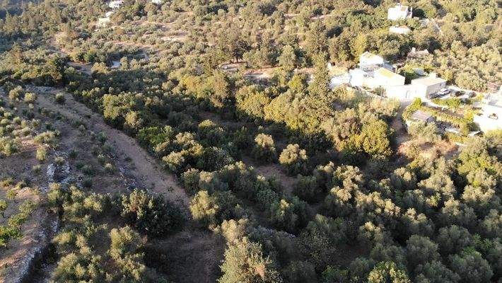 Kreta, Ag. Pavlos: Malerisches Grundstück in der Nähe von Gavalochori zum Verkauf