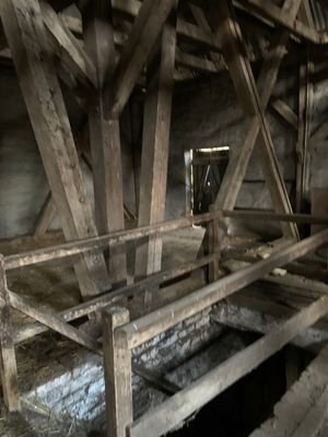 IMG_7531