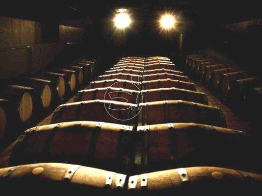 Wunderschönes Anwesen | Montalcino