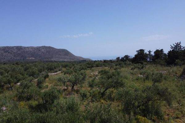 Kreta, Kefalas: Malerisches Grundstück mit Meerblick zu verkaufen