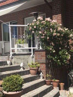 Gartenblick_zur_Terasse