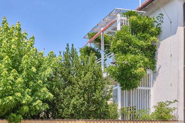 Eingewachsener Westbalkon