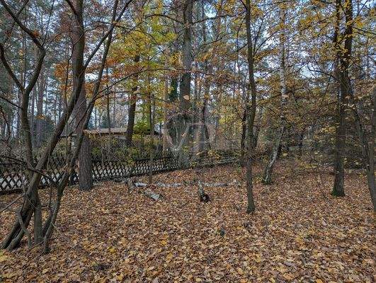 PXL_20241109_111835719.MP