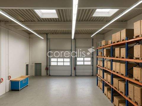 Neuss Halle, Neuss Hallenfläche